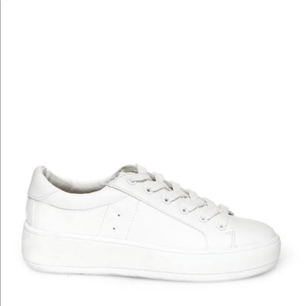 Steve Madden Bertie sneakers